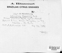 Elsinoe fawcettii image